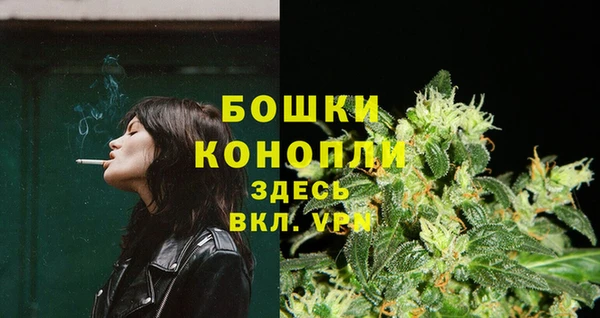 крисы Кирс