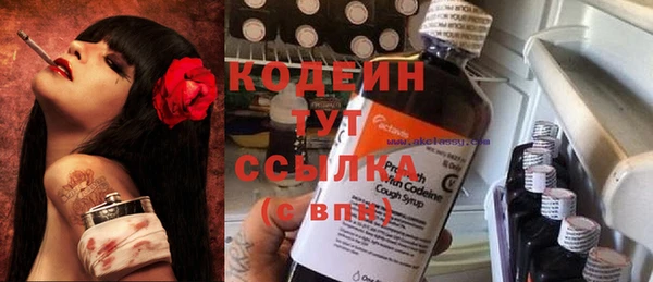PSILOCYBIN Слюдянка