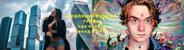 PSILOCYBIN Слюдянка