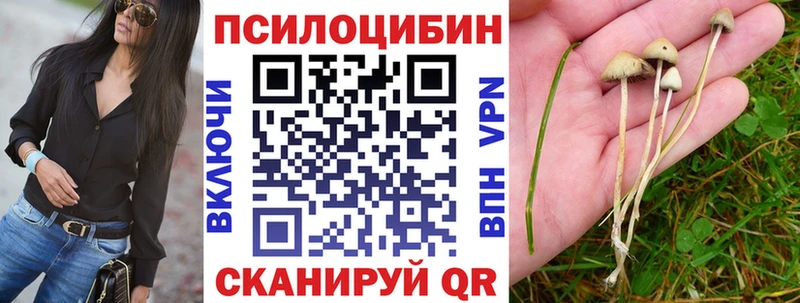 ОМГ ОМГ tor  Кумертау  Псилоцибиновые грибы Cubensis 
