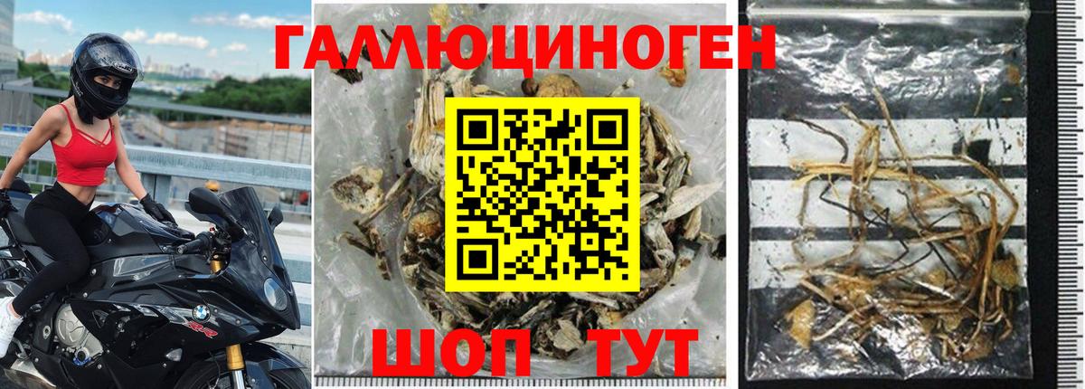 Кумертау  как найти закладки  Вход с VPN  Псилоцибиновые грибы MAGIC MUSHROOMS 
