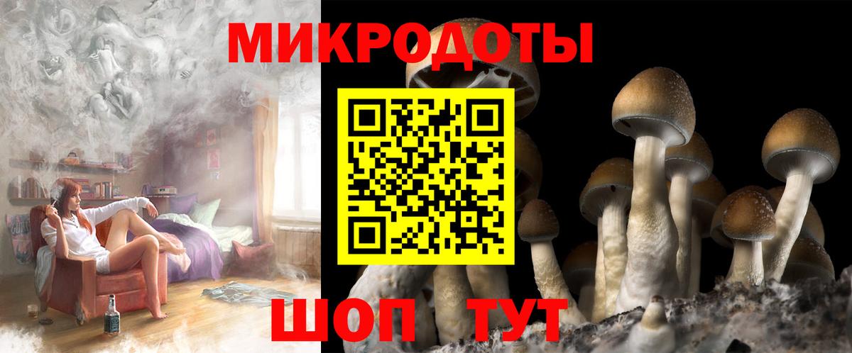 Галлюциногенные грибы Psilocybe Кумертау